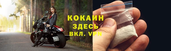apvp Белокуриха