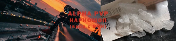 apvp Белокуриха