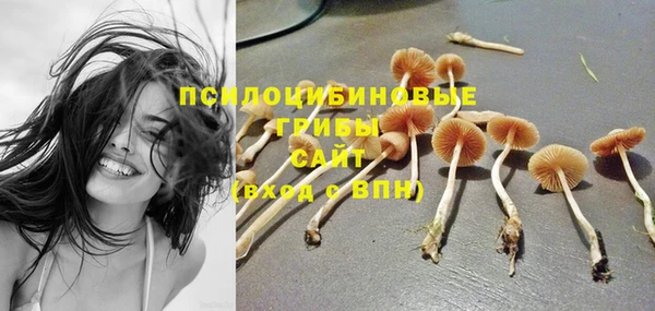 apvp Белокуриха